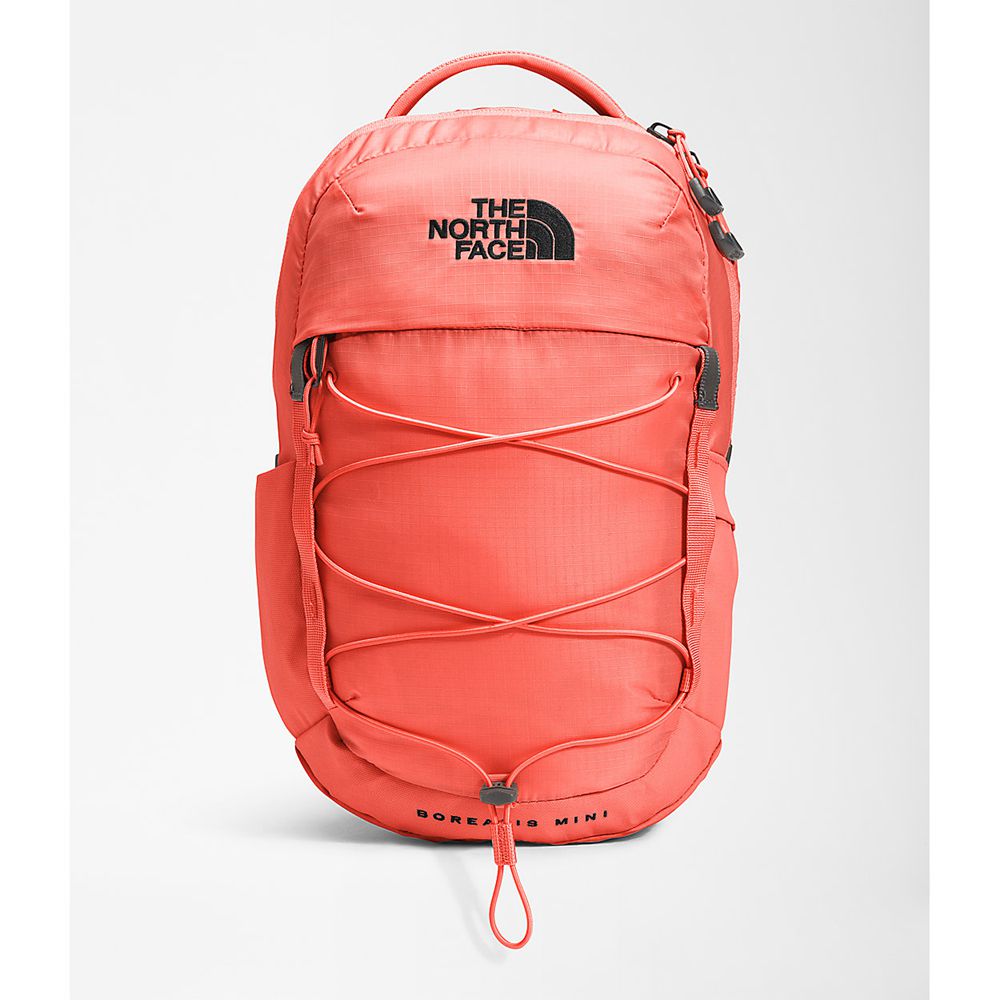 The North Face Backpacks Boys Australia - The North Face Borealis Mini Orange / Black (ZPF-891345)